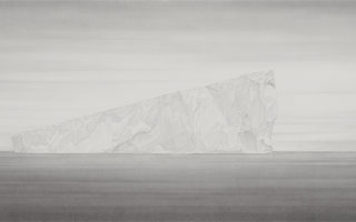 浮生二记/程保忠>