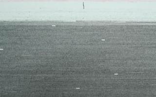 209789'x334600'/郑菁>