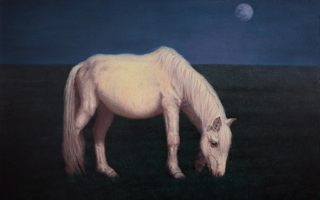 暖夜/胡桂东>